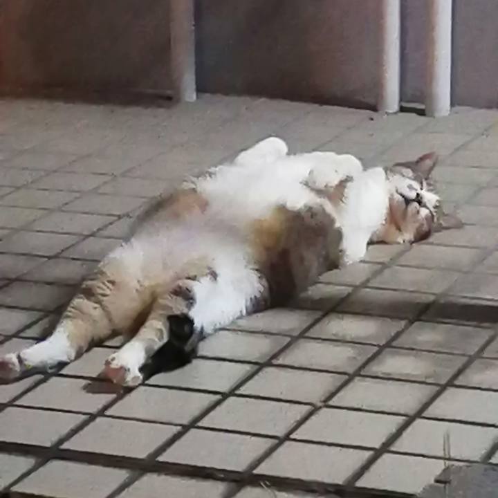 Ec078d1c 9571 4484 8aa3 4036c54c8b24 1631268340126