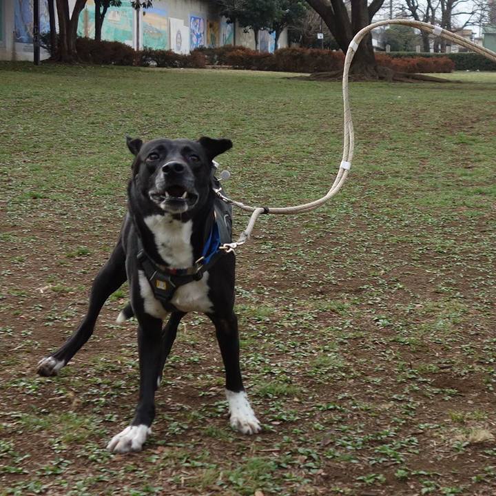 Ec0795c5 0355 4d0c a949 a8f5e7fefb7a 1647304433912