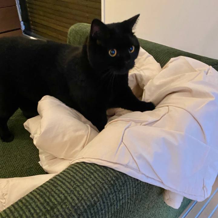 Ec07a5a3 8cb8 4b6a a8f2 ebc65d267d80 1696753205111