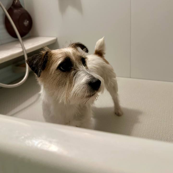 Ec07a652 74c9 4164 991c fd147f87dc62 1733403495831