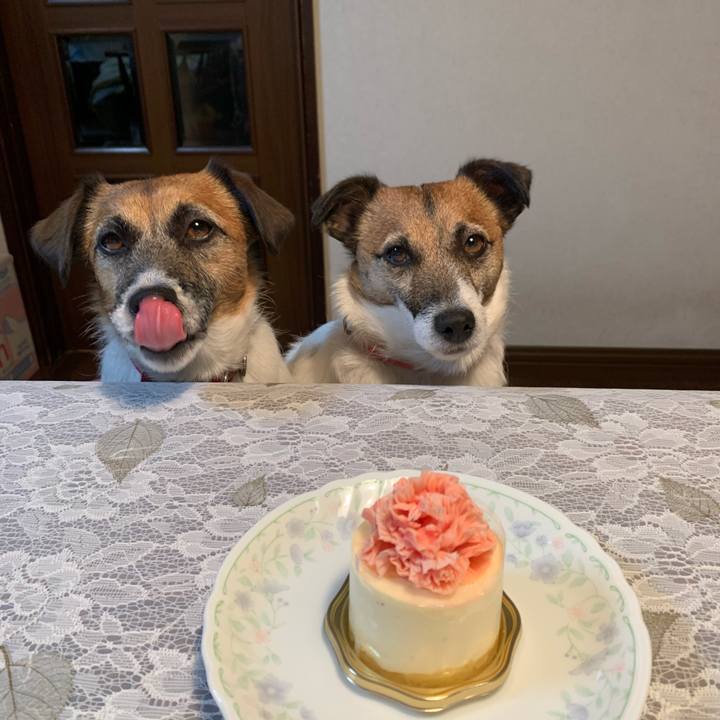 Ec07cf1e 718c 47c1 80df c8df9ac5eaea 1620540475723