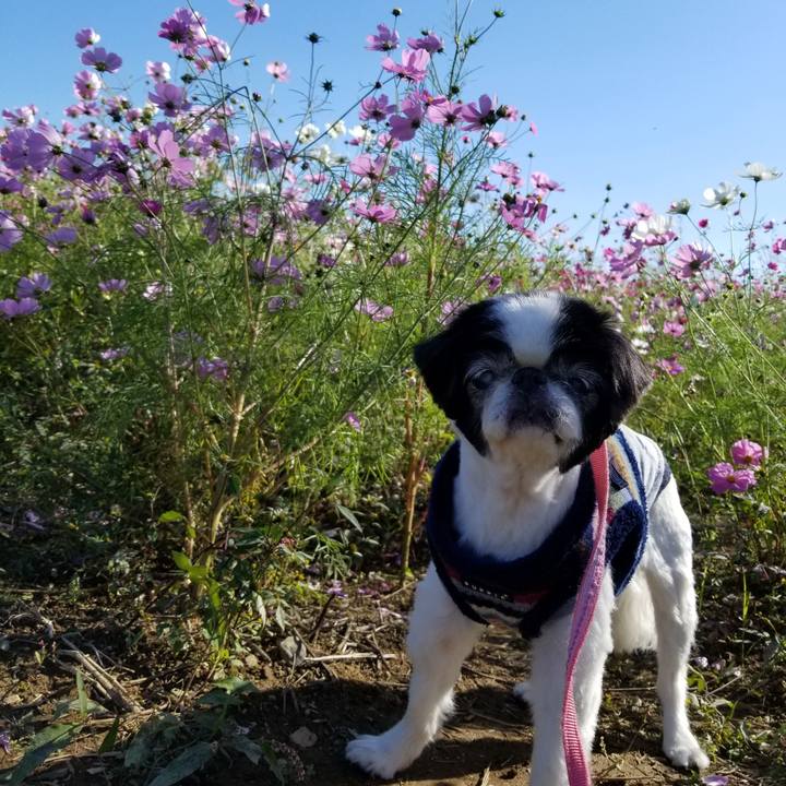 Ec07ef58 154a 4a3b b377 027f1a5723f3 1603613790220