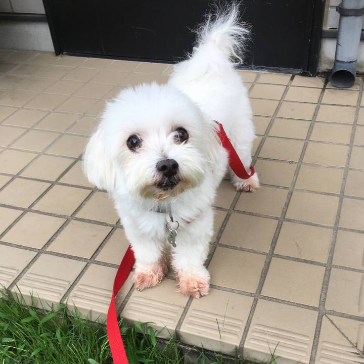 Ec08ad12 cd31 45b6 8cef 938bf5676b0a 1600495800484