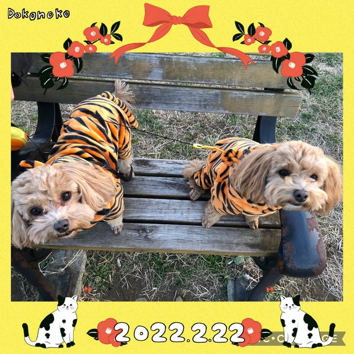 Ec08d99d 0148 4a71 98bc 7123407d9cae 1645533001560