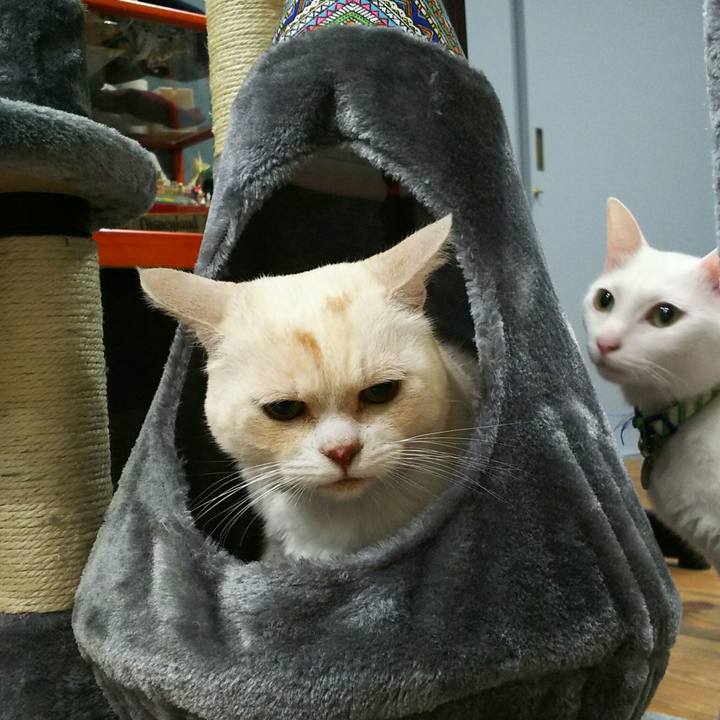 Ec091117 74fc 4299 acfd dfec444f2f63 1511618430744