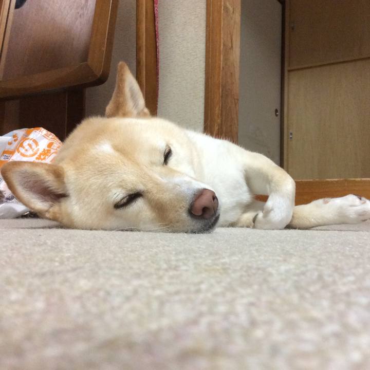 Ec0917ed 586b 40ce a850 3b5b79c2d37c 1564990282528