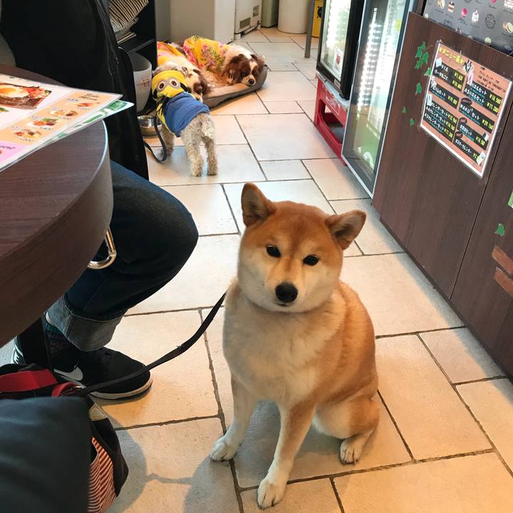 Ec092d46 a1cb 4cc1 95ab 908e3fd3ff51 1515912088100