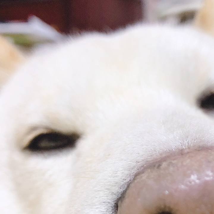 Ec0971f9 83f3 4611 92a9 bf749072a0a4 1560578965618