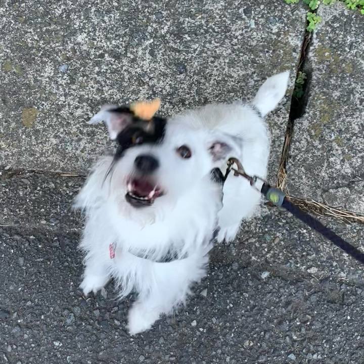 Ec099116 bf57 430f 94e4 361c0e5c6d72 1690324269571