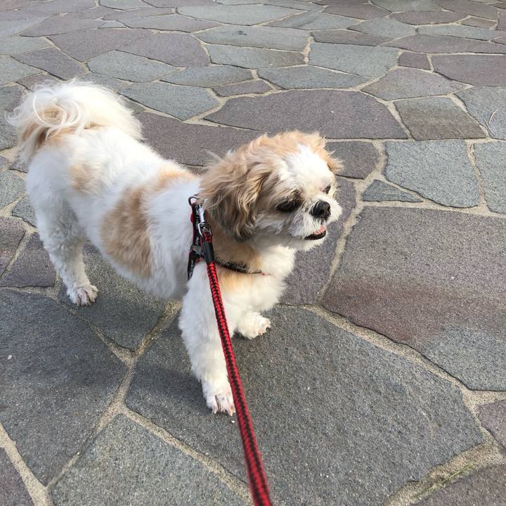 Ec09ae4d d1fd 495a 9c52 e16e6421056c 1571002724089