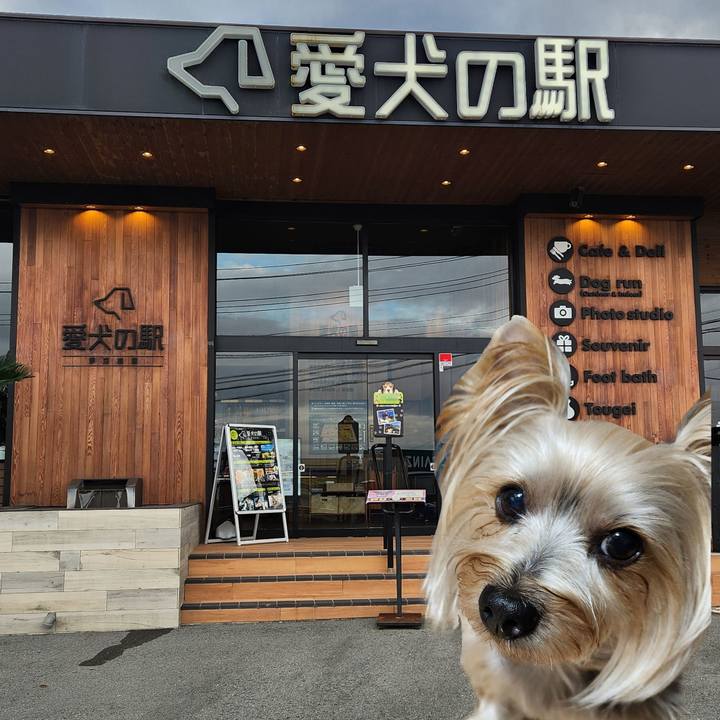 Ec09b4f4 f698 4ffb 9e92 f59150fac83e 1730159697578