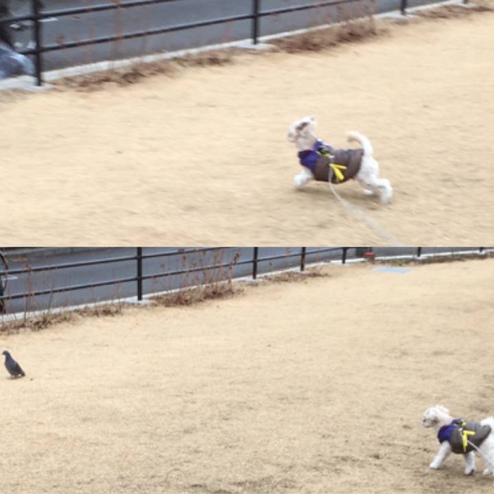 Ec09ce76 82c5 498b bc38 ab3be91a9ab6 1516437002758