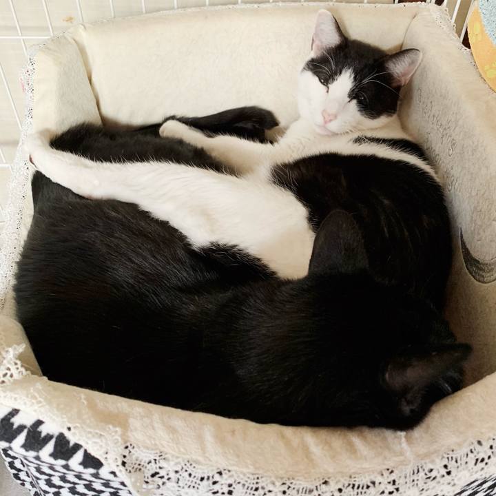 Ec0a1d24 383d 45a4 a05e 7a581d0797a3 1543367986339