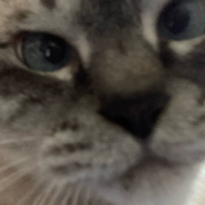 Ec0a2bf9 0b85 4623 8b01 74f5ab325a44 1754899732135