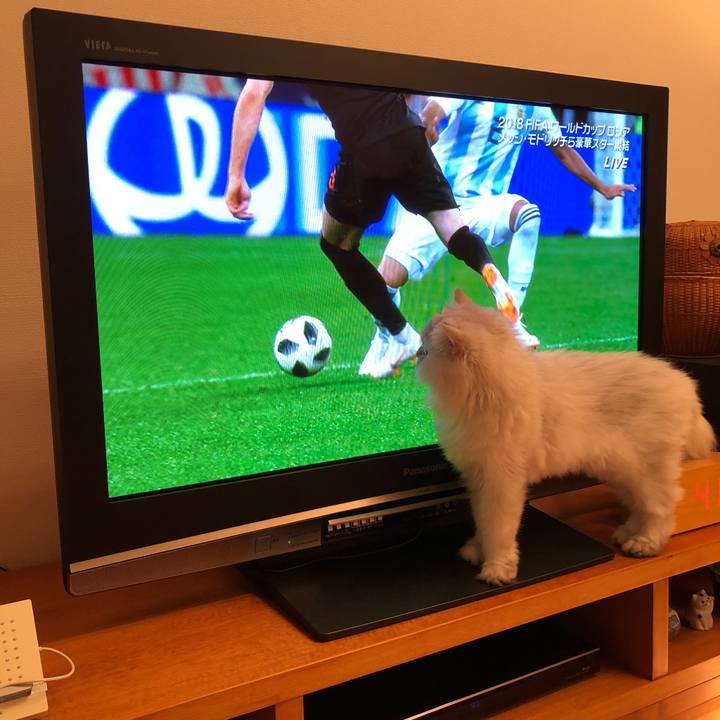 Ec0a30bb efeb 4a50 b921 f7f652349d36 1529608704465