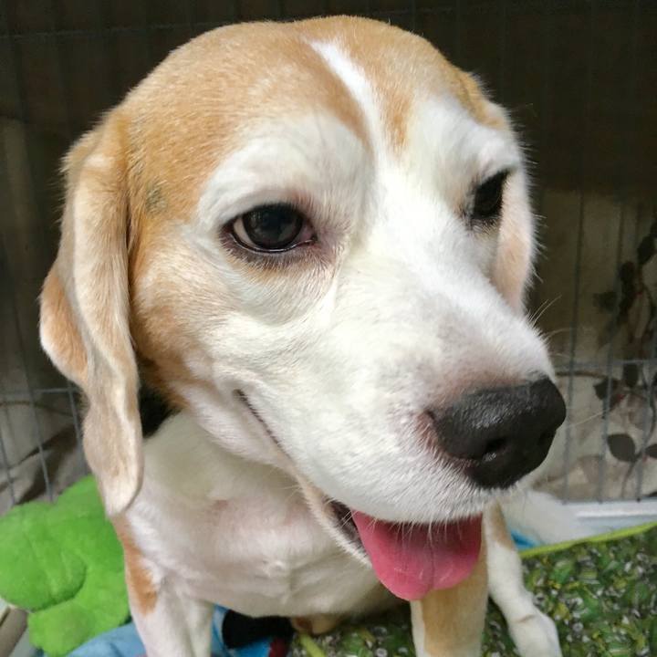 Ec0a3966 15ba 49e6 b86d 7ea1a9af4006 1750673293286