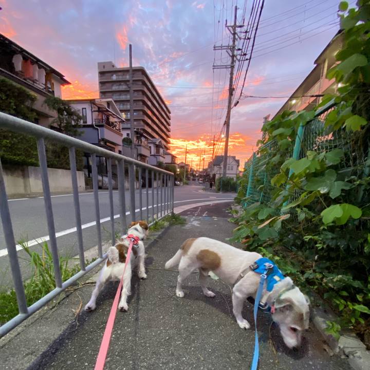 Ec0a4d2e 55e4 4447 bcb3 d4d5c4ef3f75 1693340664683