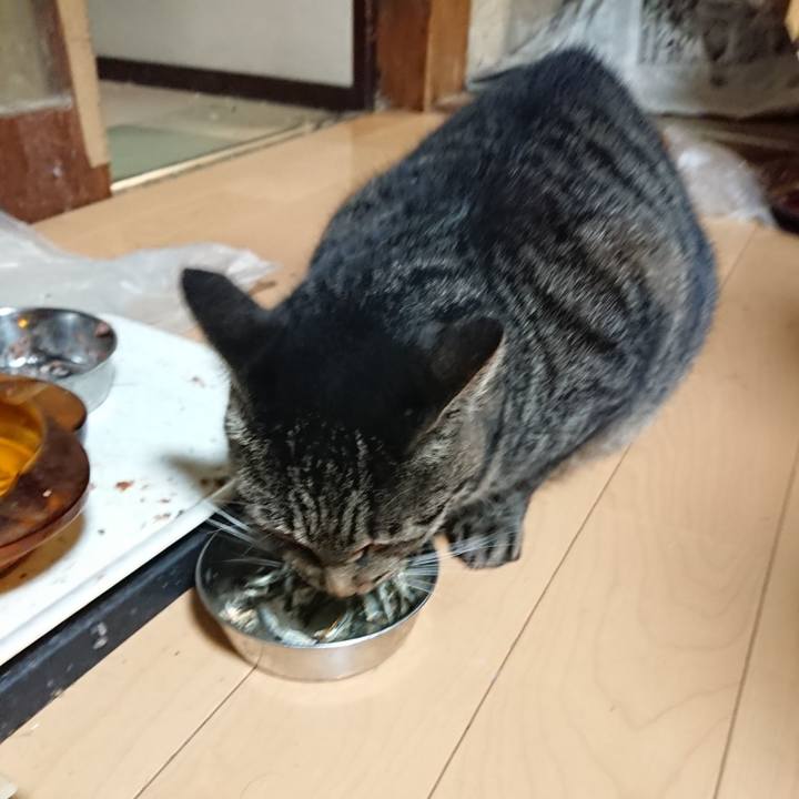 Ec0a5137 6c6c 4bfe b583 c0d5138fc5ff 1632832856877