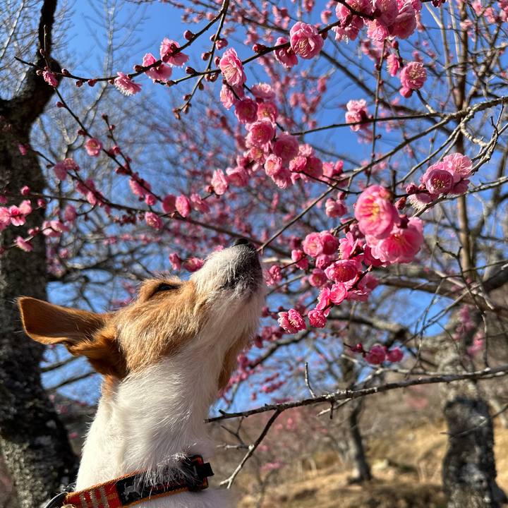 Ec0a5982 a689 418e b5a3 0a24e316939d 1768721790388