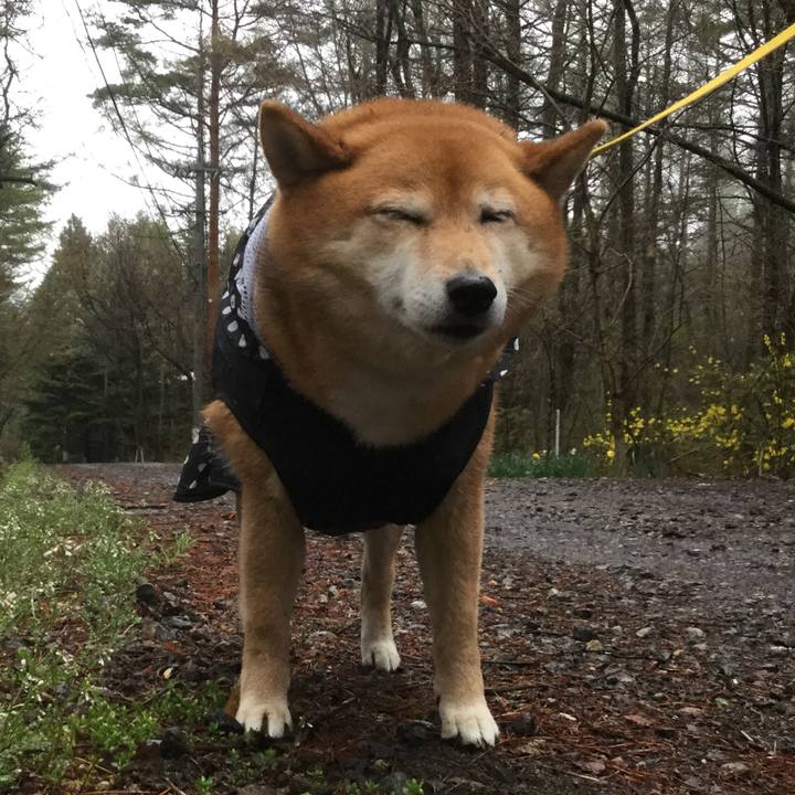 Ec0a7824 d11e 470d 9919 5042cf887c0c 1556711090056