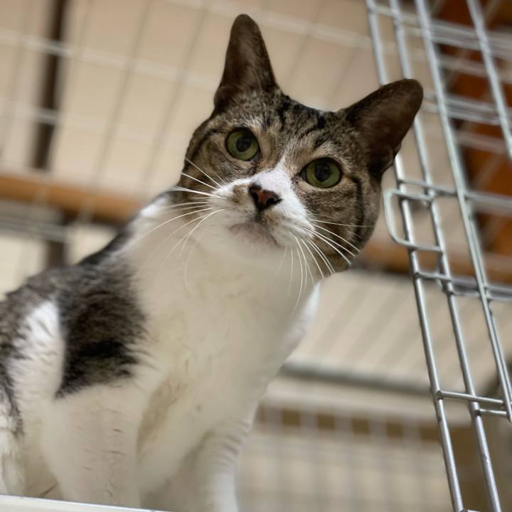 Ec0a8d33 b251 4b98 9695 434796a65e2f 1643419546528