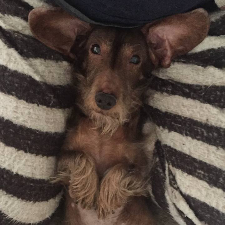 Ec0ab9c2 6a03 474d 8cbd 3d661631e6d2 1759225830870