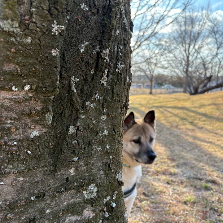 Ec0ace92 7892 4730 b437 26f025e8e075 1740220522580