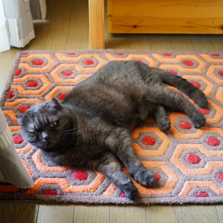 Ec0ad414 1097 4e15 afc5 88f78ffe5a44 1629729935178