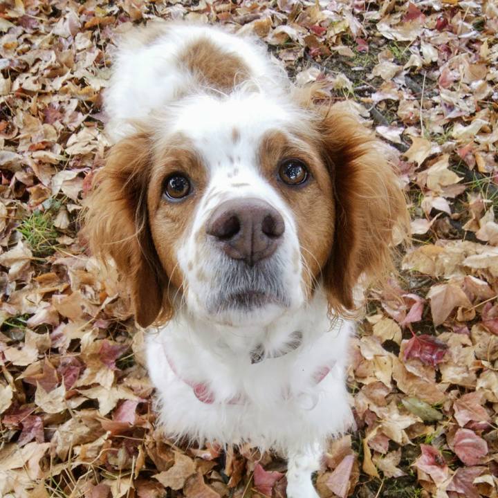 Ec0b09aa 09a4 4315 9f90 d01b495d941f 1547551657786