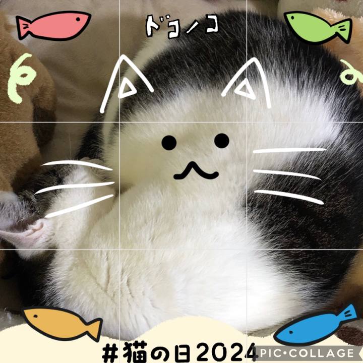 Ec0b37f5 d8f8 47ac b046 605c4a1d57b0 1708590760082