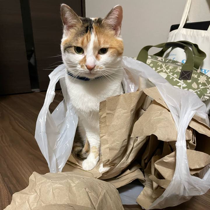 Ec0b56a0 5ac1 4100 af87 ff87b891249e 1713534212414