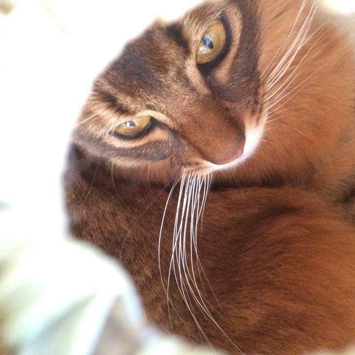 Ec0c1ed4 74ba 4f38 ba08 66c4948d641d 1612916535677