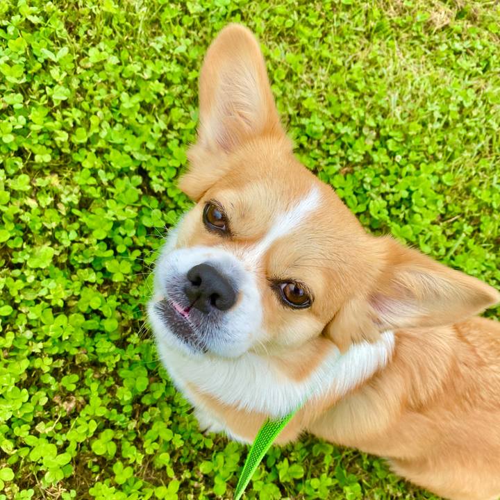 Ec0c2449 600a 4cca bc9d 04e01e778e5b 1654839339952