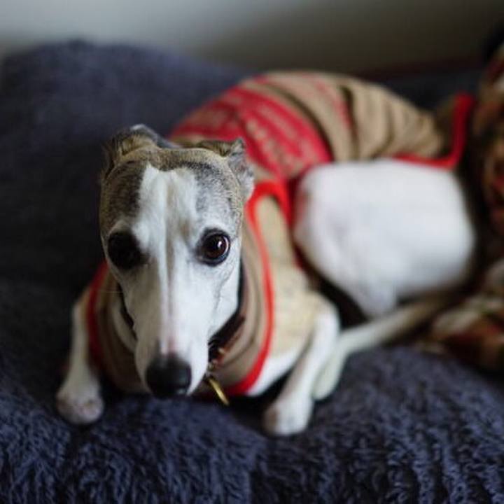 Ec0c566d d4e4 49d5 a56c 6d8ec376fe86 1510139370950