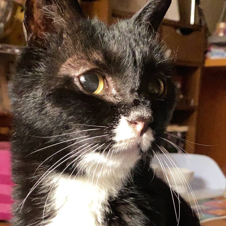 Ec0c614e a2f0 4f2e b4f7 84afe4b8f663 1588853285328