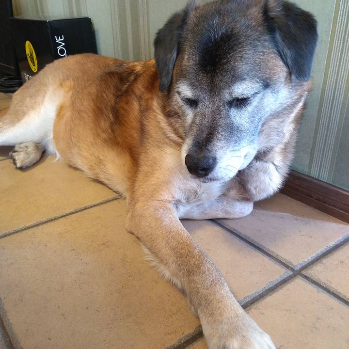 Ec0c6540 338c 4004 8f4b 1379cf65627b 1549513134143