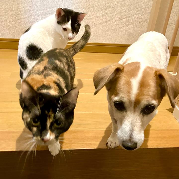 Ec0c6ad7 c1aa 4f06 8645 15827b3d199e 1701954273060