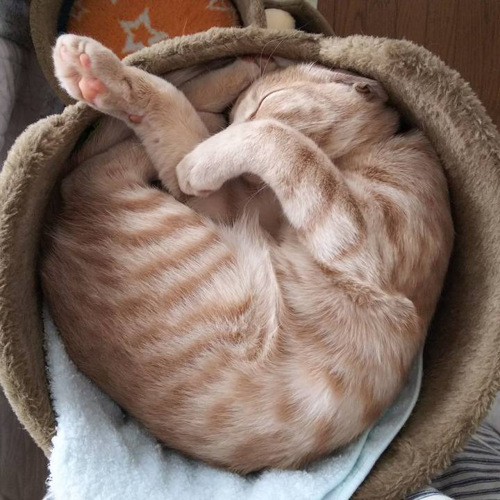 Ec0c74db e659 4b56 8af8 322f3fce3ec5 1546318606688