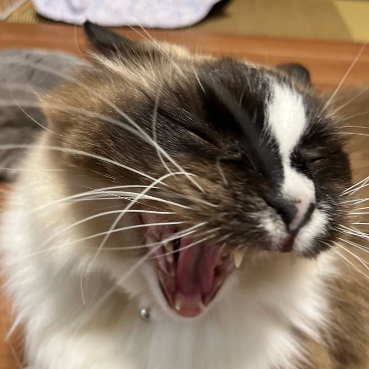 Ec0c83de ce48 4198 b404 a83dc26a8d03 1644503937911