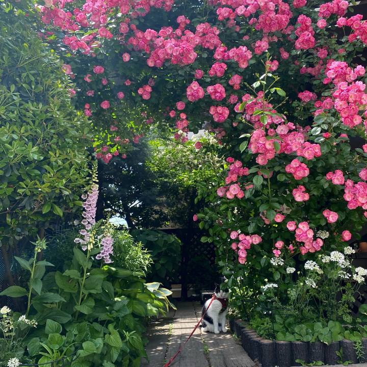 Ec0c9793 ff44 4194 b5aa 895c2f470ca1 1716435156399