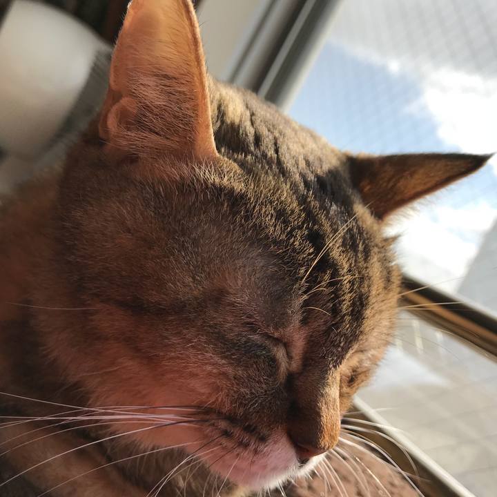 Ec0cbe7d aaf6 4a97 b542 7f1a8d2c3ab1 1513483682076