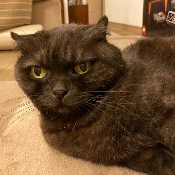 Ec0cfdc5 10b3 417c 9967 da29886dfbf7 1609950322836