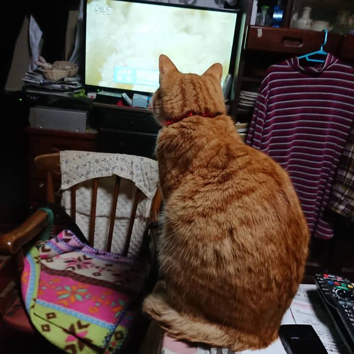 Ec0d2d61 052f 4d7d a877 a5097e4f10d7 1579121924647