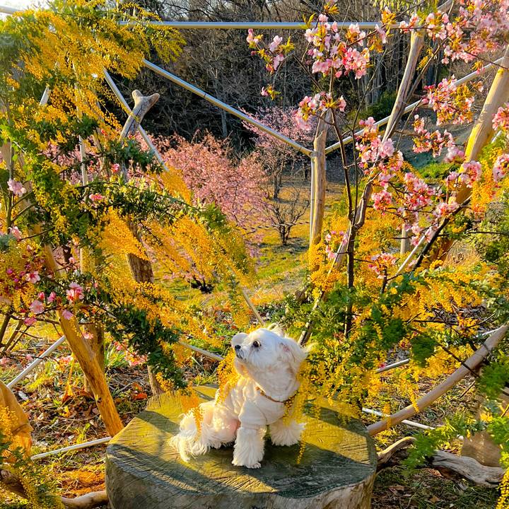 Ec0d313c 51e6 40fb be63 dc0114e73ea3 1678948827068