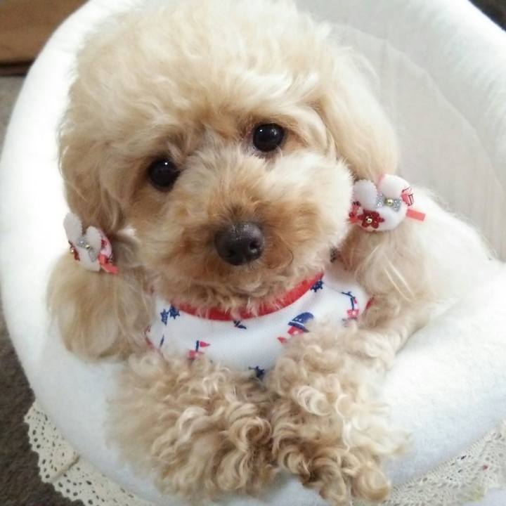 Ec0dd56a 4c87 4e6a b595 d952e5cbdd10 1529120450217