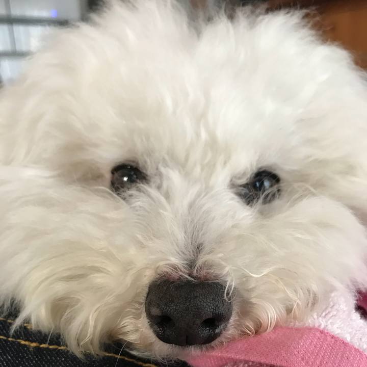 Ec0de109 35cf 4bbd 80a4 0639b632b4b3 1548744441644