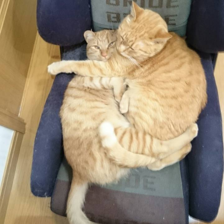 Ec0deeef 0644 49e1 854b bd48a5c30f36 1555019390445