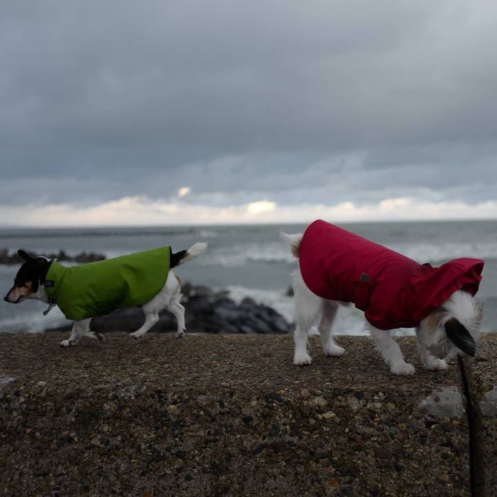 Ec0dfbec 2fe7 4f72 9097 7201cf8a1594 1511587460676