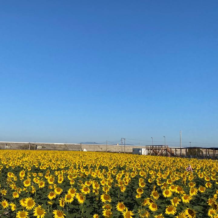 Ec0e3ed2 ba5b 4865 93e3 a5eadbf0800c 1636449451218