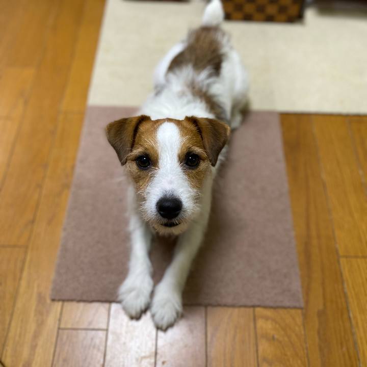 Ec0ed333 4eb3 463c 83df 50abd2fa2d94 1721741008620